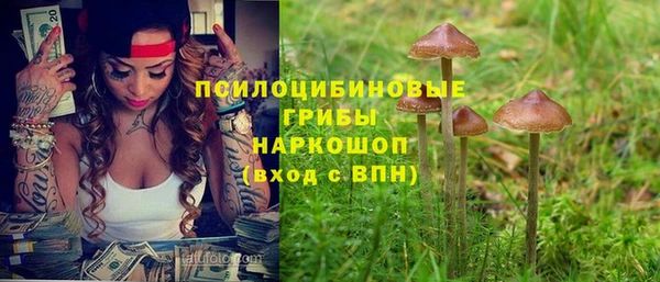 дживик Козловка