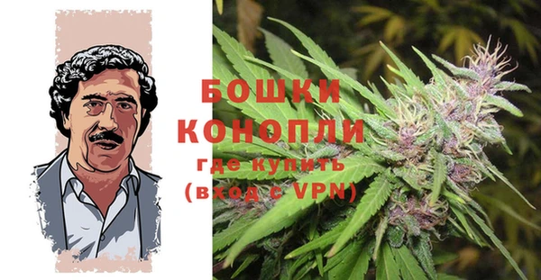 дживик Козловка