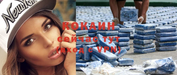 дживик Козловка