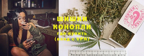 дживик Козловка