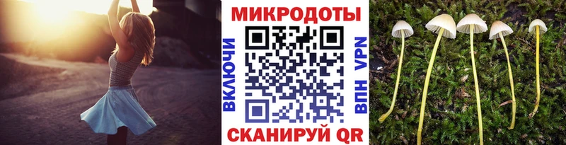 shop клад  купить наркоту  blacksprut   Североморск  Галлюциногенные грибы Psilocybine cubensis 