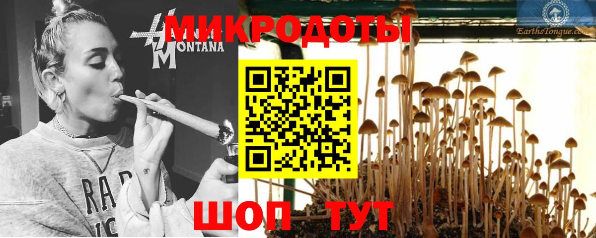Североморск  Галлюциногенные грибы Psilocybe  Галлюциногенные грибы Cubensis  купить наркотики сайты  Вход с VPN 